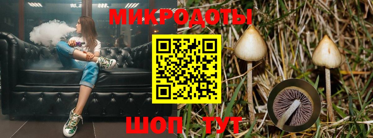 Дмитров  Псилоцибиновые грибы Cubensis  Вход с VPN 