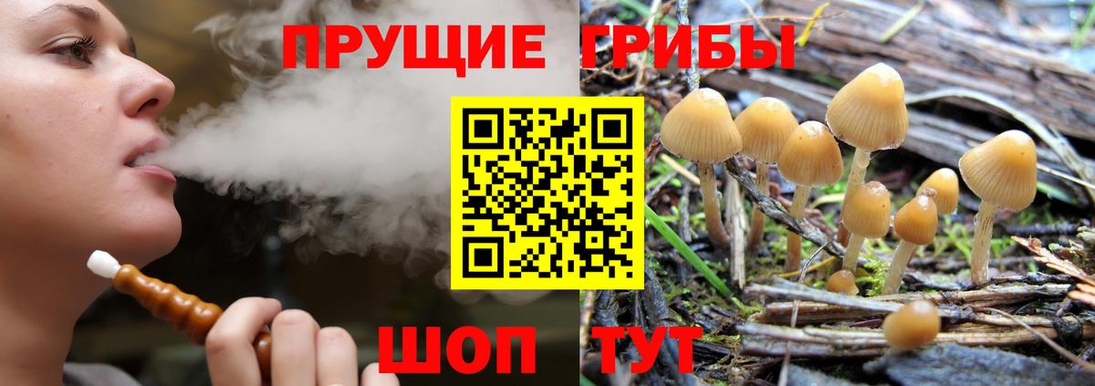 Галлюциногенные грибы GOLDEN TEACHER Дмитров